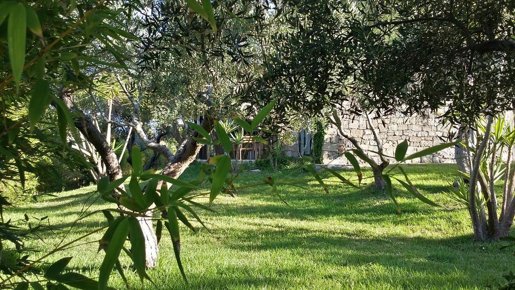 Tenuta Terenzano ตอร์เร ซาน จิโอวานนิ อูเจนโต ภายนอก รูปภาพ